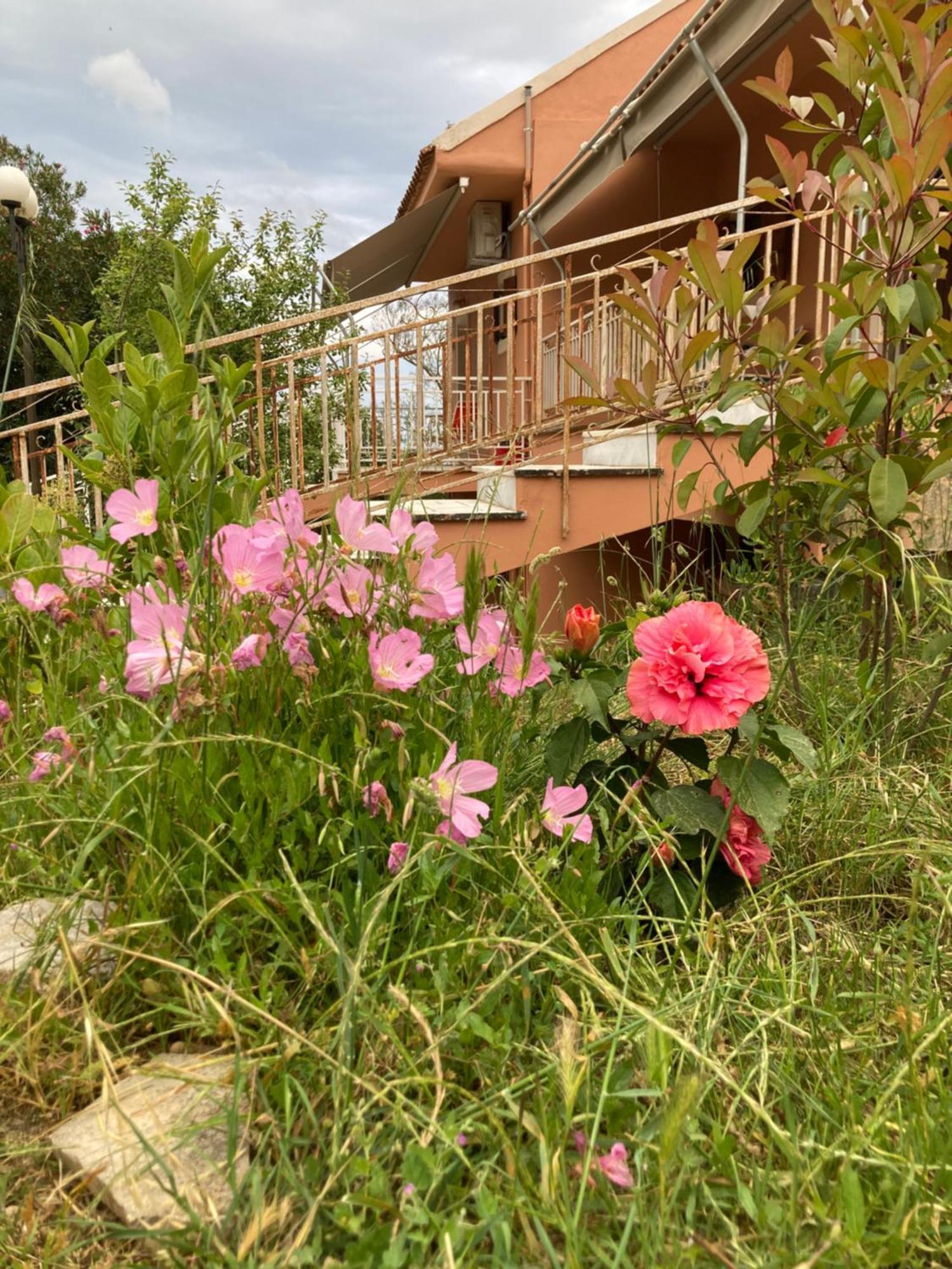 Kokkini Peach Budget Kokkínion Extérieur photo